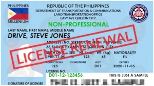 Driver's License Renewal