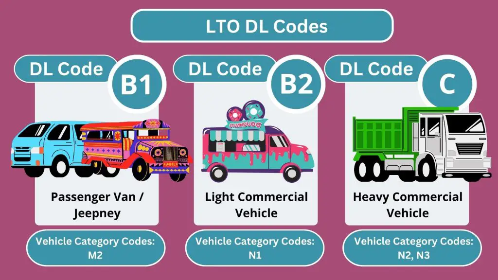 LTO Driver's License Codes