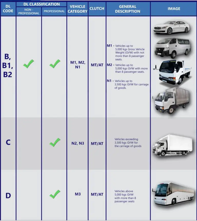 LTO Driver's License Codes