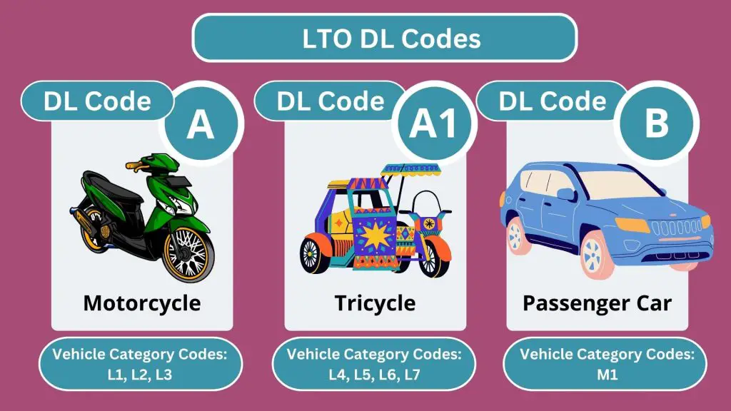 LTO Driver's License Codes