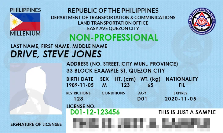Non-Professional Driver's License