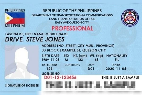 Professional Driverr's License
