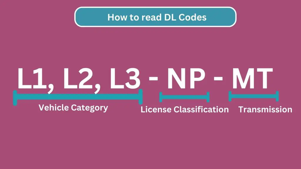 how to read LTO DL Codes