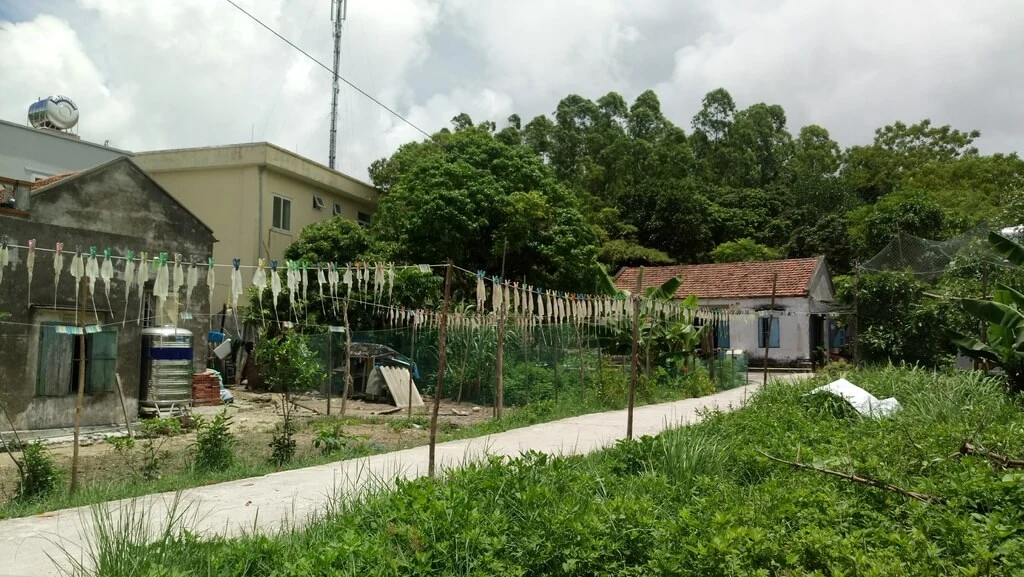 residential lands