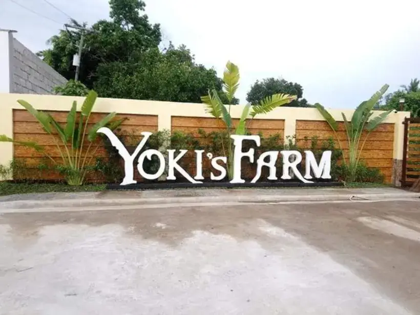 Yoki's Farm