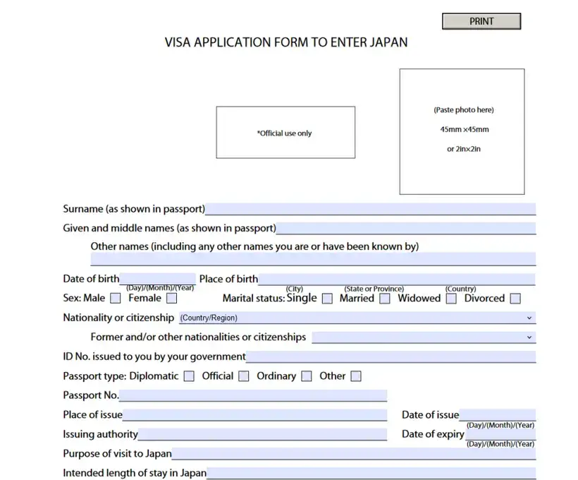 Japan Visa Application Form