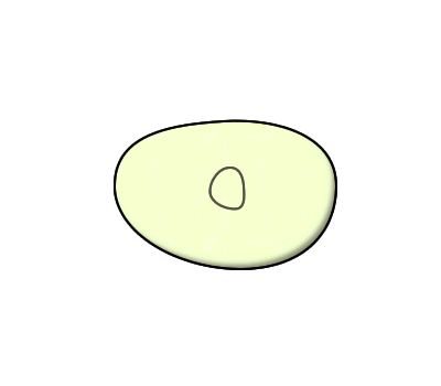 Process of Binary Fission