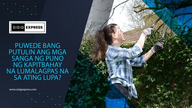Puwede Bang Putulin ang Mga Sanga ng Puno ng Kapitbahay na Lumalagpas na sa Ating Lupa